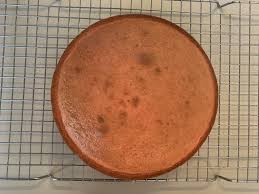 We did not find results for: Edible Cell Cake 4 Steps Instructables