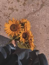 Marga Simson Profiles