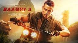 Image result for baaghi 3