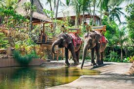 Scopri ricette, idee per la casa, consigli di stile e altre idee da provare. Keindahan Lombok Elephant Park Yang Cocok Untuk Wisata Keluarga Rental Mobil Lombok
