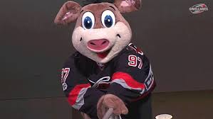 The perfect montrealcanadiens youppi mascot animated gif for your conversation. Mascot Stormy Nhl Gif Find On Gifer