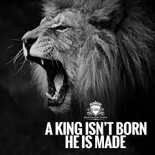 Pin By Sofie On Motivation Quotes Lion Quotes Inspirational Quotes Motivation Warrior Quotes
