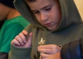 December dazzlers: Seasonal celebrations in Lodi and Stockton spread the  holiday spirit