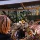 16th November - Seasonal Wreath Making Workshop event image