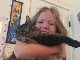 FOUND‼️Thank you everyone for looking out for him) Still missing my kitty  from HighPark way/39th St, Missoula. He's 2 1/2 and he is chipped. If  anyone has seen him please let me