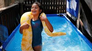 Israeli population and economic data covers the economic territory of israel, including the golan heights, east jerusalem and israeli settlements in the west bank. Meet The Israeli Child Who Takes A 11 Foot Pet Python Swimming Trending News The Indian Express