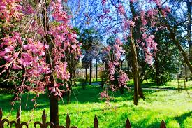Der botanische garten von padua, italienisch orto botanico di padova, ist der erste und älteste botanische garten der welt, der. Padua Reise 10 Tipps Fur Padua Sehenswurdigkeiten Italien Roadtrip