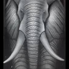 Namun bagi kamu yang tidak ahli dalam coret mencoret dengan pensil atau kuas. Gambar Gajah Hitam Putih Keren