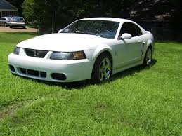 Image result for Oxford White 2003 Escape