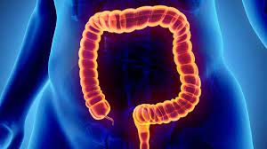 Blinddarmentzundung Ursache Symptome Und Behandlung Einer Appendizitis