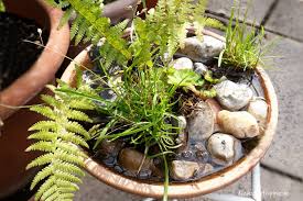 Bienen Tranke Im Garten Auf Dem Balkon Bienentranke Richtig Aufstellen In 2020 Potted Plants Patio Potted Plants Patio Ideas Succulents In Containers