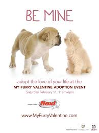 Keeping pets and people healthy is our top priority. My Furry Valentine Cincinnati Pet Adoption Good Things Going Around