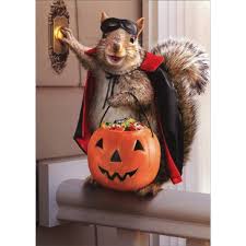 Image result for quirky halloween