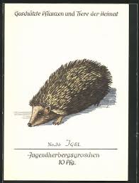 Vintage Postcard Hedgehog Art Vintage Postkarten Alte Ansichtskarten
