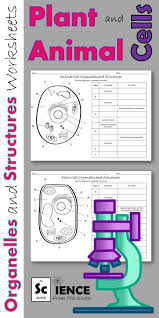 Great For Assessing Understanding Of Plant And Animal Cell Organelles And Structures Cells Worksheet Plant And Animal Cells Cell Organelles
