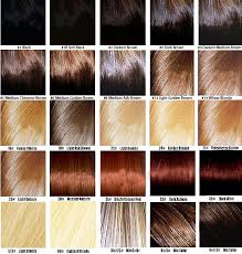 38 Hair Color List Brown Great Style
