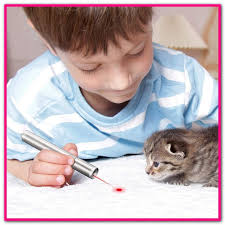 Best Cat Laser Toys Cat Laser Cat Laser Toy Best Interactive Cat Toys
