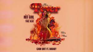 Megan Thee Stallion Cash Shit Ft Da Baby Youtube