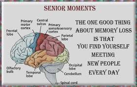 images?q=tbn:ANd9GcRr5FYRF8lZG_1g4jDETY-r9I9TF7MprpxEJZA83tEt15Orwu7WsQ