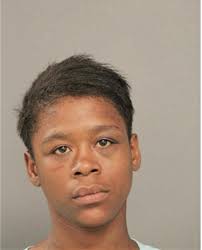 ᐅ Illinois Criminal Records 2009-2025