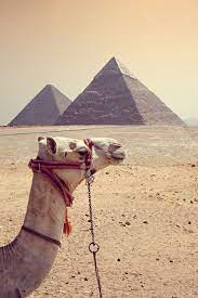 In egypt one of the most popular places to obviously ride camels is at the pyramids, but important discoveries out of egypt have again been flooding the global news as archaeologists continue to how about 5000 year old couture? I Have Been Obsessed With Egyptian History For Years I Actually Minored In History Just So I Could Take All The Egyptian Histo Egypt Visit Egypt Egypt Travel