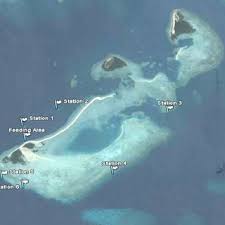 This mysterious island is so dangerous that brazil has deemed it illegal for anyone to visit. Map Showing The Proposed Zoning Of The Protected Area For Snake Island Download Scientific Diagram