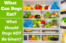 In short, the safety of mushrooms for dogs depends primarily on the kind of mushroom. Can Dogs Eat Apples Tomatoes What Can Or Can T Dogs Eat