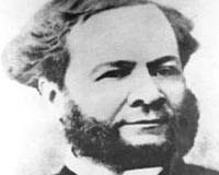 Waptrick jose-chameleon free wallpaper, page 3