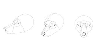 Trace with a marker and color. Sketchbook Original How To Draw Foxes Monika Zagrobelna