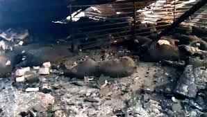 Duizenden varkens omgekomen bij een landbouwbedrijf in nederweert, net boven de stad weert, is dinsdagmiddag een grote brand uitgebroken. Wake Voor Duizenden Dode Varkens In Nederweert Schokkende Beelden Gaan Rond Overal Verkoolde Karkassen Cranendonck Heeze Leende Ed Nl
