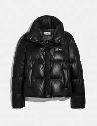 Leather Puffer Blouson Leather High Collar Blouson