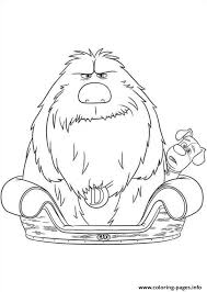 If you need a4 size or any other sizes, please convo. Duke In Max Bed Secret Life Of Pets Coloring Pages Printable