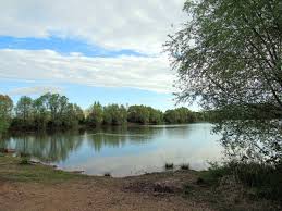 Der baggersee war wie geschaffen für zanderbesatz. Baggersee Hirschaid Stadt Bamberg Tourismus