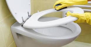 We did not find results for: How To Clean A Very Stained Toilet Bowl Clean And Tidy Living