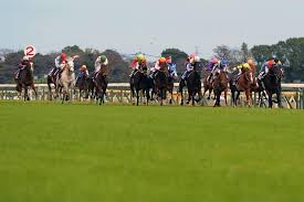 競馬AIが京王杯SC、ユニコーンSを大予想 厳選ワイド3点＆3連複10点で勝負！