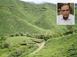 Hotel di lusso con 4 ristoranti, non lontano da mercato notturno cameron. Kembalikan Kegemilangan Cameron Highlands