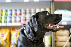 One stop pet shop for over 30 years providing animals with quality products and food. The 10 Best Pet Stores In North Carolina