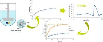 vitro dissolution and in vivo exposure