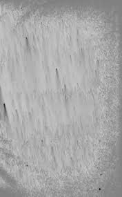 Fruit farming for profit (rev. to 1911) A practical treatise ... with  detailed instructions for successful commercial culture on