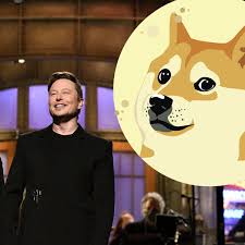 „you can't get rich with dogecoin. Dogecoin Survives Musk S Snl Jokes Will Fund Moon Mission