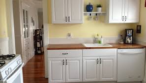 Cabinets from the eklipse collection are made in canada and designed for you to create projects in multiple rooms in your home. Diy Kitchen Cabinets Ikea Vs Home Depot House And Hammer