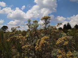 High rates of landscape degradation not product of landscape fires