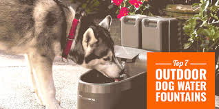 You no longer have to worry about your dog's boredom or keeping him from chewing on things he. Top 7 Best Outdoor Dog Water Fountains 2020 Buying Guide Reviews