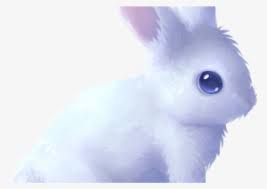 Rabbit Rabit Animal Pet Kawaii Cute Cute Bunny Drawing Easy Transparent Png 568x572 Free Download On Nicepng We encourage any cute/kawaii art! rabbit rabit animal pet kawaii cute