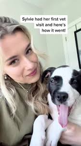 Sylvie's First Vet Visit Adventure