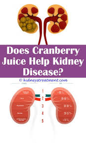 Diabetic Kidney Disease Health Kidney Disease Recipes Kidney Disease Kidney Disease Diet