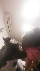Dog kissing xxx