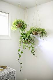 They handle wicker baskets and bathroom necessities. 16 Trending Bathroom Plant Ideas Bathroom Garden