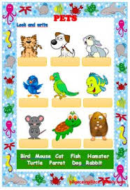 2nd Grade Worksheets 2 Sinif Ingilizce Calisma Kagitlari Bilgeceingilizce English As A Second Language Esl Animal Worksheets 2nd Grade Worksheets