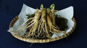 Meskipun hasilnya tidak seketika, yang penting aman, selamat dan hubungan dengan istri tambah mesra. Kimo Suplemen Membawa Manfaat Ginseng Merah Korea Dan Ginseng Ashwaganda Lifestyle Liputan6 Com